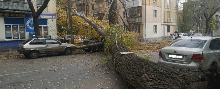 Независимая оценка ущерба авто